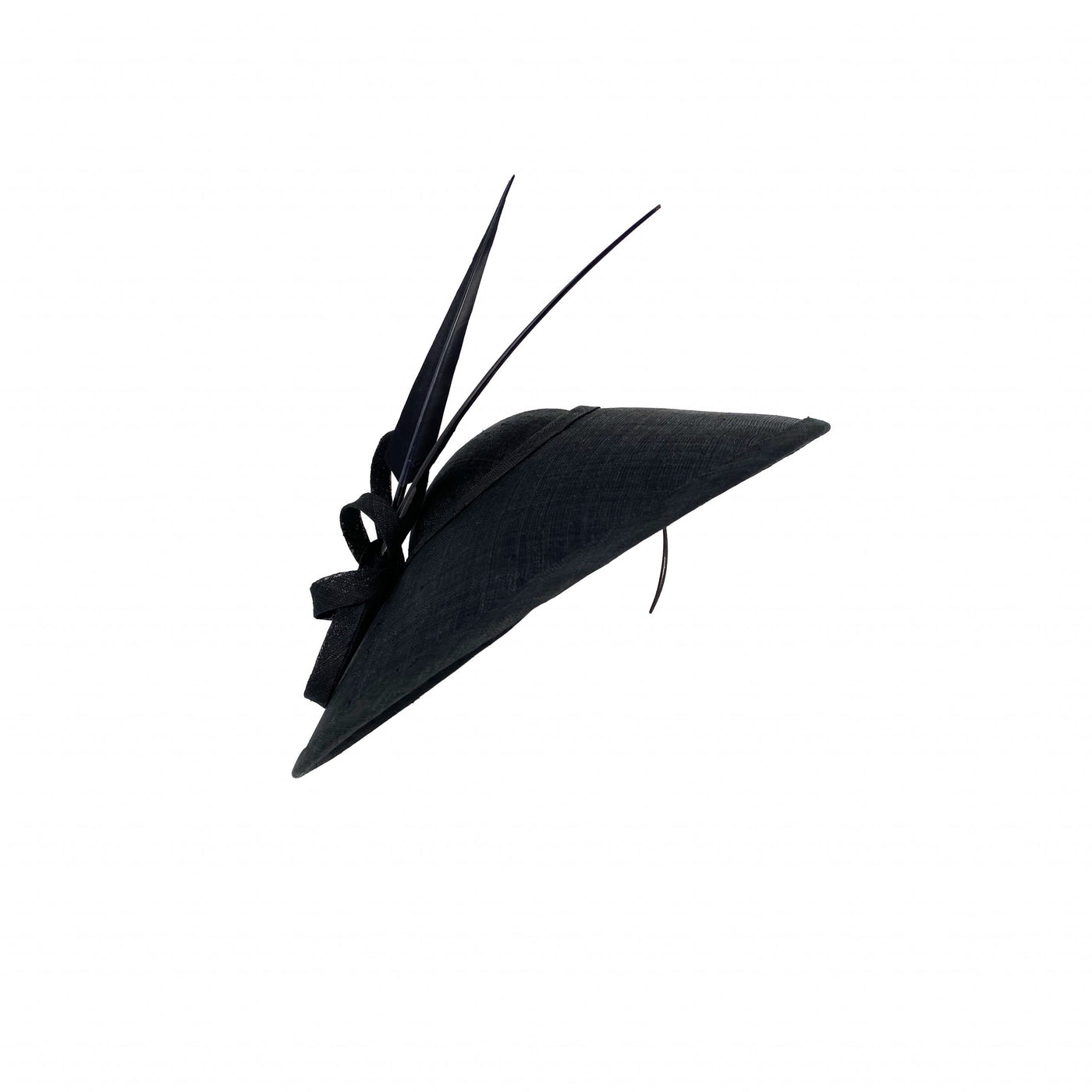 Photo of a black fine straw Charlene with black sharp feathers 